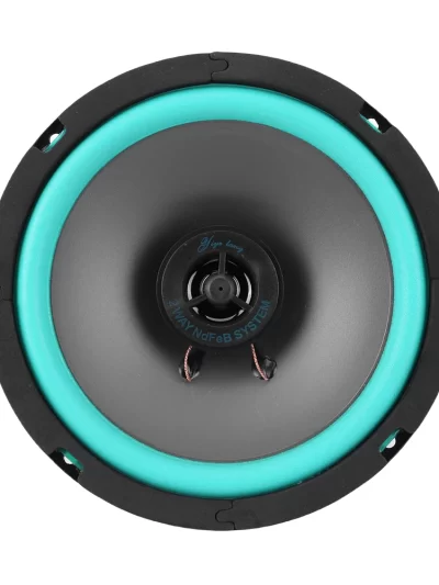 4/5/6.5 Inch 100W/160W HiFi Coaxial Subwoofer